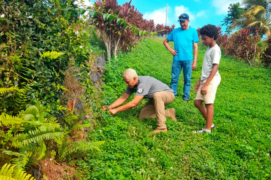 venta de terrenos rapa 3