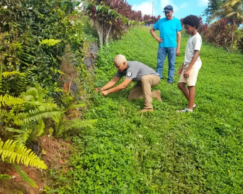 Adiestramiento de Agricultura Ancestral 5